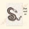 Snake-illustration-postcardB by Dewy Venerius.